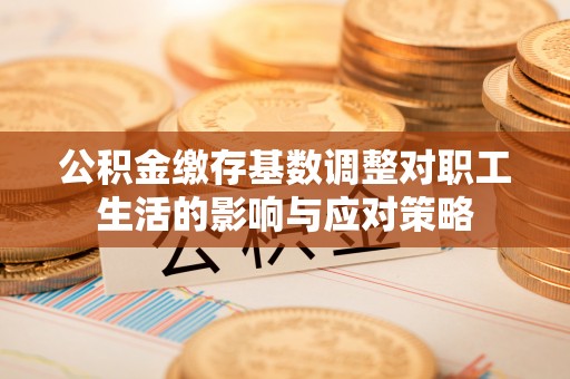 白玉公积金缴存基数调整对职工生活的影响与应对策略