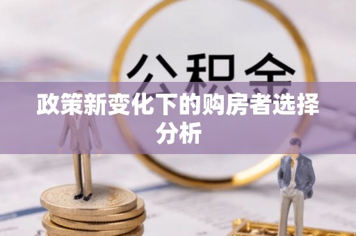 白玉政策新变化下的购房者选择分析