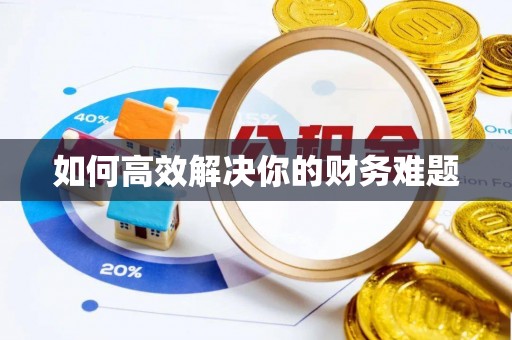 白玉如何高效解决你的财务难题