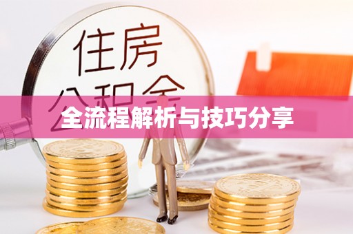 白玉全流程解析与技巧分享