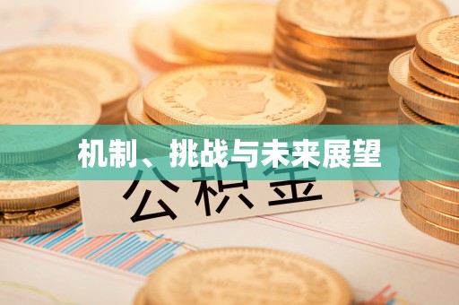 白玉机制、挑战与未来展望